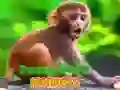 Gra Zabawny mały małpiak w Internecie Gra Zabawny mały małpiak w Internecie