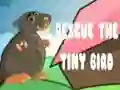Gra Uratuj małego ptaka w Internecie Gra Uratuj małego ptaka w Internecie