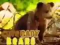 Gra Urocze Małe Niedźwiedzie w Internecie Gra Urocze Małe Niedźwiedzie w Internecie