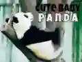 Gra Słodki mały panda w Internecie Gra Słodki mały panda w Internecie