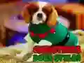 Gra Bożonarodzeniowe Style Psów w Internecie Gra Bożonarodzeniowe Style Psów w Internecie