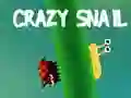 Gra Zwariowana ślimak w Internecie Gra Zwariowana ślimak w Internecie