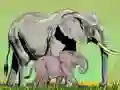 Gra Dzike Zwierzęta i Ich Młode w Internecie