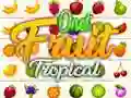 Gra Onet Tropikalne Owoce w Internecie Gra Onet Tropikalne Owoce w Internecie