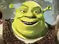 Gra Kolekcja Puzzli Shrek w Internecie