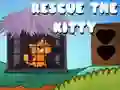 Gra Ratuj kociaka w Internecie Gra Ratuj kociaka w Internecie