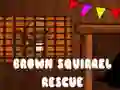 Gra Ratunek brązowej wiewiórki w Internecie