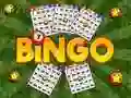 Gra Bingo Odkryte w Internecie Gra Bingo Odkryte w Internecie
