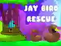 Gra Ratunek ptaka Jay w Internecie