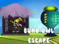Gra Ucieczka sowy Buho w Internecie