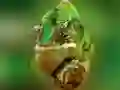 Gra Puzzle Kameleon w Internecie Gra Puzzle Kameleon w Internecie
