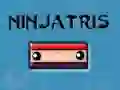 Gra Ninjatris w Internecie