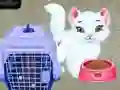 Gra Opieka nad Zwierzętami Baby Taylor w Internecie