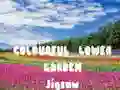 Gra Puzzle Kolorowy Ogród Kwiatowy w Internecie Gra Puzzle Kolorowy Ogród Kwiatowy w Internecie
