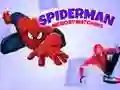 Gra Gra w pamięć Spidermana w Internecie