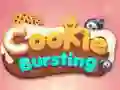 Gra Rozbijanie Ciasteczek w Internecie Gra Rozbijanie Ciasteczek w Internecie