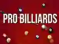 Gra Profesjonalny Bilard w Internecie