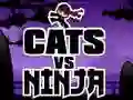 Gra Koty kontra Ninja w Internecie