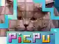 Gra PicPu Kot w Internecie Gra PicPu Kot w Internecie