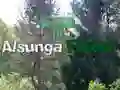 Gra Powrót do lasu Alsunga w Internecie Gra Powrót do lasu Alsunga w Internecie