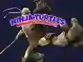 Gra Gra Pamięci Żółwi Ninja w Internecie