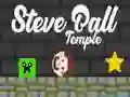 Gra Świątynia Steve'a Balla w Internecie Gra Świątynia Steve'a Balla w Internecie