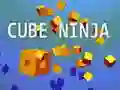 Gra Ninja Sześcian w Internecie Gra Ninja Sześcian w Internecie