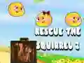 Gra Uratuj wiewiórkę 2 w Internecie Gra Uratuj wiewiórkę 2 w Internecie