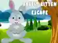 Gra Ucieczka Królika i Kociaka w Internecie