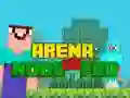 Gra Arena: N00b kontra Pro w Internecie