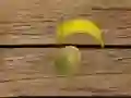 Gra Strzelanie do Owoców w Internecie