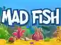 Gra Zwariowana Ryba w Internecie