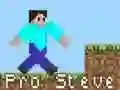Gra Pro Steve w Internecie Gra Pro Steve w Internecie