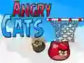 Gra Wściekłe Koty w Internecie