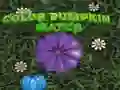 Gra Kolorowy Mecz Dyni w Internecie Gra Kolorowy Mecz Dyni w Internecie