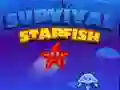 Gra Survival Rozgwiazda w Internecie Gra Survival Rozgwiazda w Internecie