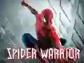 Gra Pająk Wojownik w Internecie