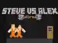 Gra Steve kontra Alex Ucieczka z Więzienia w Internecie