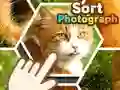 Gra Sortuj zdjęcia w Internecie Gra Sortuj zdjęcia w Internecie