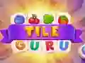 Gra Guru Płytek w Internecie