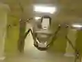 Gra Skibidi W Tylnych Pokoju w Internecie