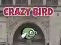 Gra Szalona Ptak w Internecie