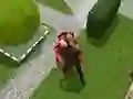 Gra Cichy Zabójca w Internecie