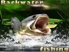 Gra Wędkarstwo w zacisznych wodach w Internecie