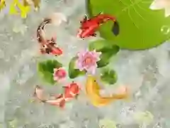 Gra Staw z koi w Internecie Gra Staw z koi w Internecie