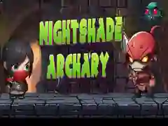 Gra Strzelectwo Cienia Nocy w Internecie