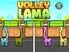 Gra Volley Lama w Internecie Gra Volley Lama w Internecie