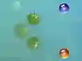 Gra Moje przygody w Internecie