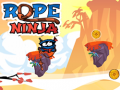 Gra Ninja na linie w Internecie