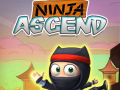 Gra Ninja Wznoszenie w Internecie